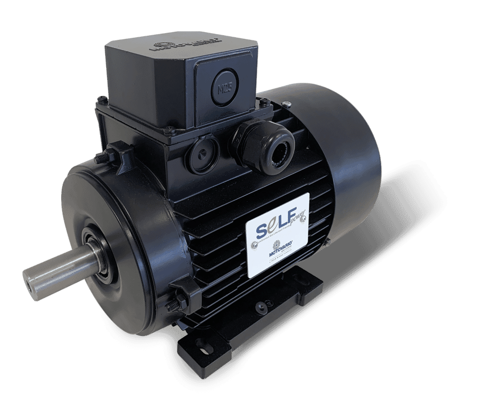 Motovario M Series Selfstarting synchronous motor