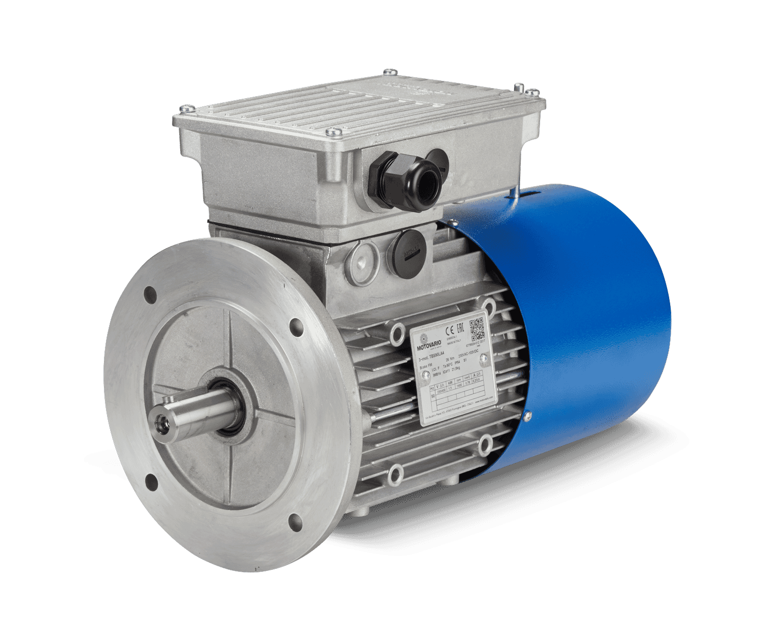 Three Phase Brake Motors, Motovario Betech